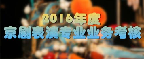 在线看日B的国家京剧院2016年度京剧表演专业业务考...
